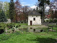 Bruntl (zmek) - 