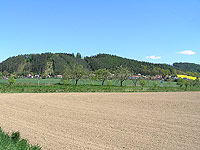 Kolšov (obec) - Pohled na obec z Dlouhé