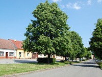 Velk nad Velikou (obec) - Ulice ve Velk n.V.