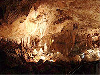 Javoříčské jeskyně (jeskyně)