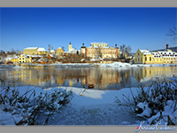 Kcov (mstys) - 