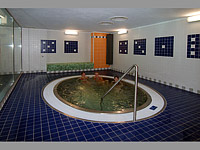 Plaveck arel - Zbeh (bazn, koupalit) - 