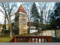 foto Zvkov (hrad)