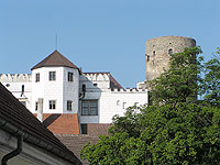 Jindichv Hradec (hrad a zmek) - 