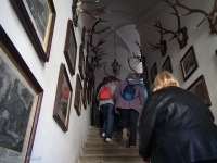 Horovsk Tn (hrad, zmek) - 