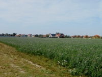 tarnov (obec) - 
