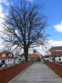Sobslav (msto) - 