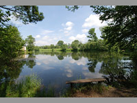 Psk - Postelmov (pskovna) - 