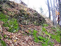 Moravsk Beroun (zcenina hradu) - 