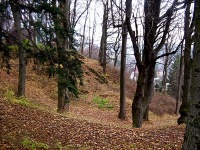 foto Moravsk Beroun (zcenina hradu)