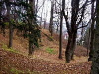 Moravsk Beroun (zcenina hradu) - 
