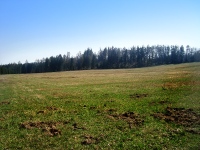 ternek (zcenina hradu) - 