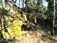 ternek (zcenina hradu) - 