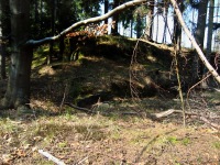 ternek (zcenina hradu) - 