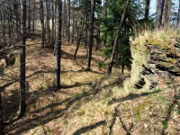 ternek (zcenina hradu) - 