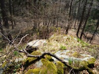 ternek (zcenina hradu) - 