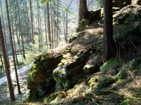 ternek (zcenina hradu) - 
