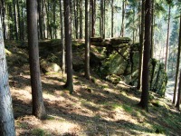 ternek (zcenina hradu) - 