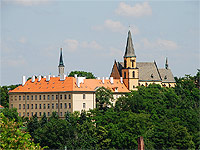 Kostel Sv. Apoline - Praha 2 (kostel) - Pohled z Vyehradu