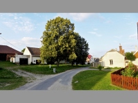 Slaviky (obec) - 