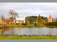 Vchnov (obec) - nvesn rybnk a kaplika  sv.Antonna