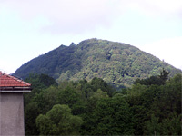 Ortel (vrchol)