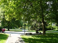 Polika (msto) - 
