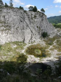 
                        Arboretum tramberk (arboretum)