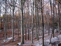 Bab Lom u Lelekovic (rozhledna) - 