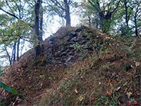 F�rstenwald (z��cenina hradu)