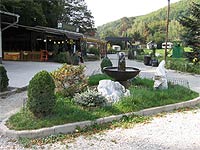 Camp Btov (camp) - 