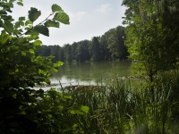 Lopatecký rybník - Šťáhlavice (rybník)