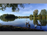 Mal Psek (zatopen pskovna, prodn koupalit) - 