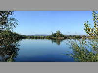 Velk Psek (zatopen pskovna) - Velk Psek