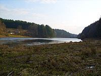 Neko (pehrada) - 