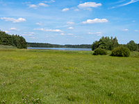 Matjovsk rybnk (rybnk) - 