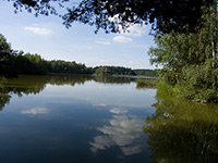 Matjovsk rybnk (rybnk) - 