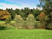 echy pod Kosem (zmek) - echy pod Kosem park 2