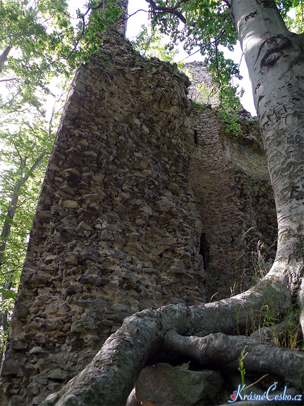 foto Kaltentejn - Hradisko (zrcenina hradu)