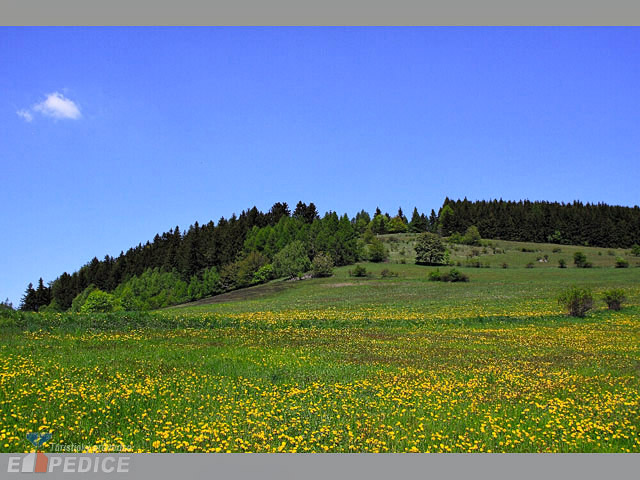 foto Javorv kopec (vrchol)