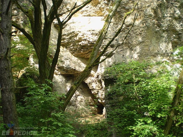 foto Koukolova hora (vrchol)