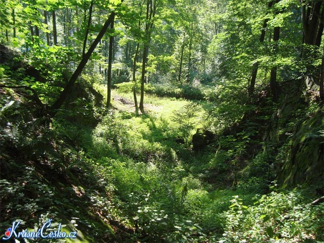 foto Tepenec (zcenina hradu)