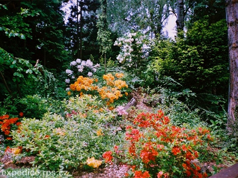 foto Meditan zahrada - Plze Doudlevce (park)