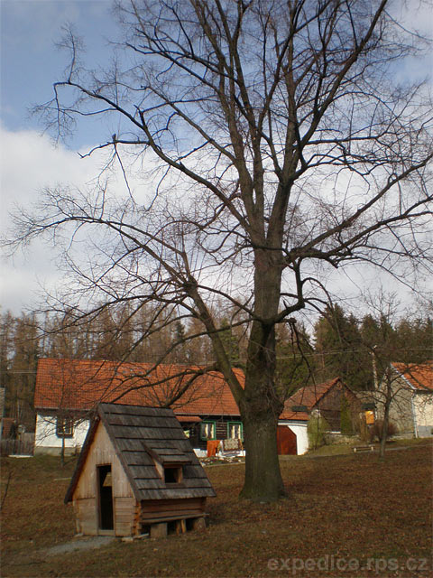 foto sttem chrnn lpy - Karoln (pamtn strom)