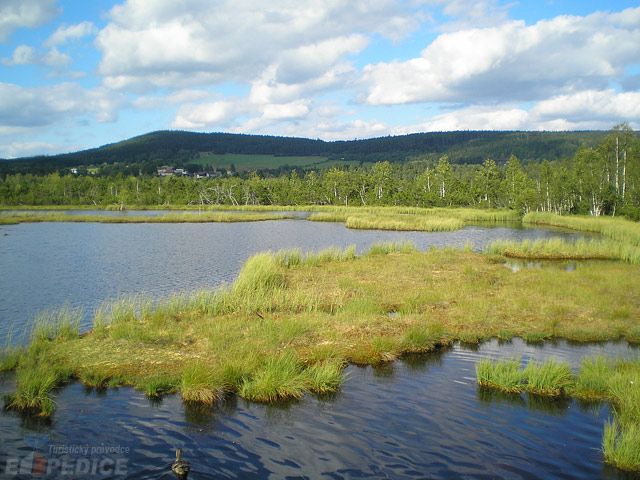 foto Chalupsk jezrko (jezero)