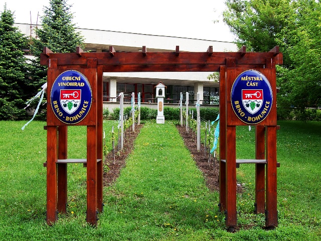 foto Symbolick obecn vinohrad - Brno-Bohunice (zajmavost)