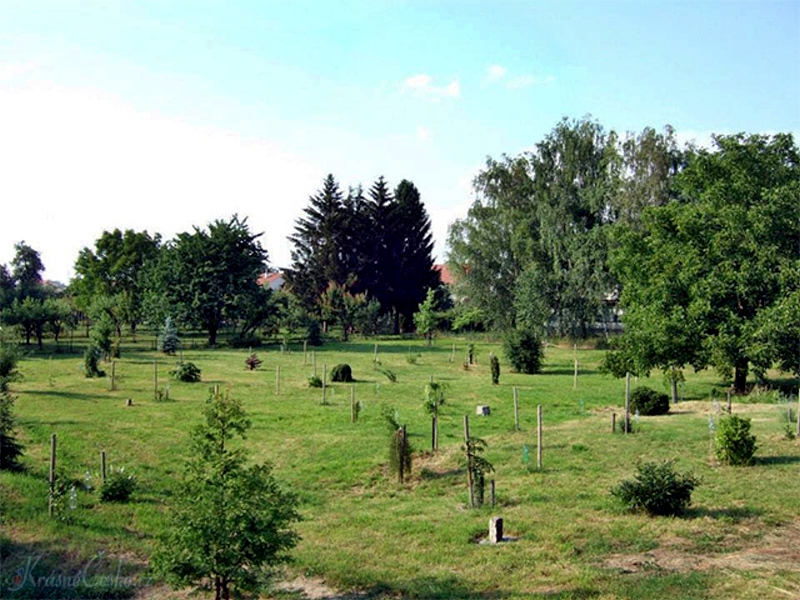 foto Arboretum - Vrahovice (arboretum)