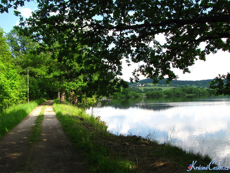 foto Podhrzsk rybnk - Tomice u Votic (rybnk)