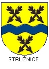 Strunice (obec)