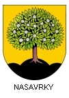 Nasavrky (obec)